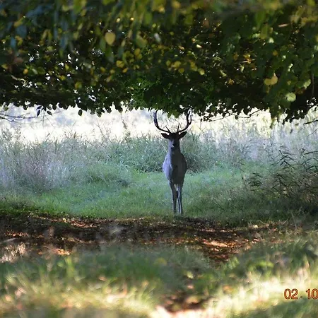 아파트 Besslich *